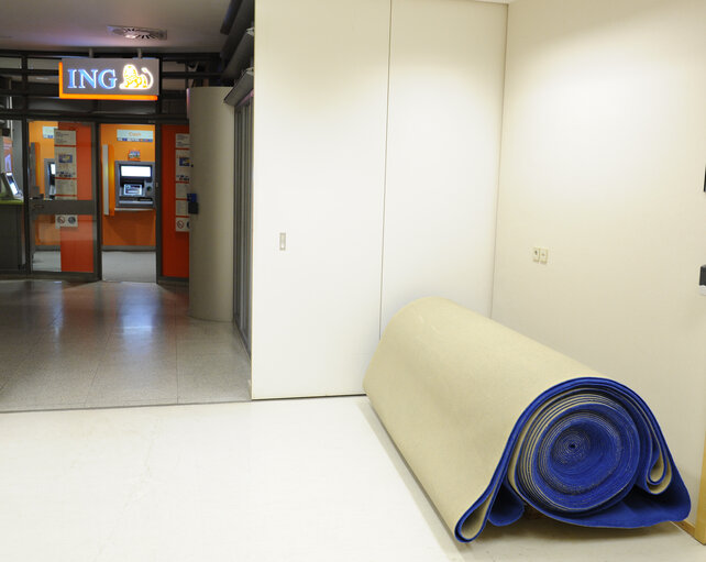 Fotogrāfija 50: Illustration - Red carpet in the Ep in Brussels