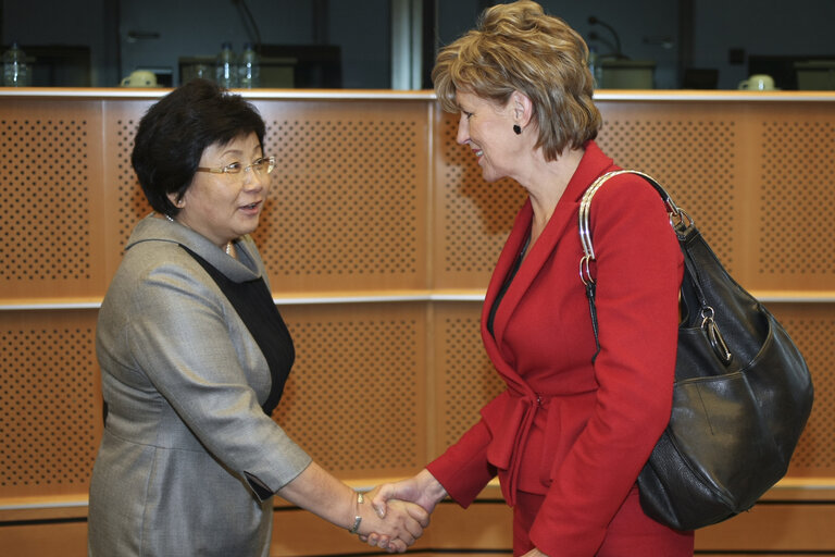 Fotografija 9: AFET Committee - Exchange of views with Roza Otunbayeva, President of Kyrgyzstan