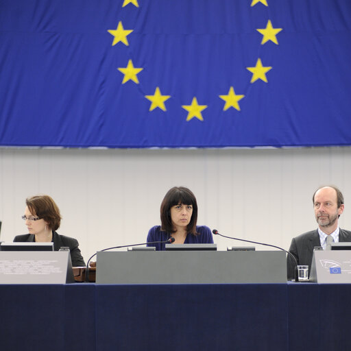 Photo 20 : Plenary session in Strasbourg