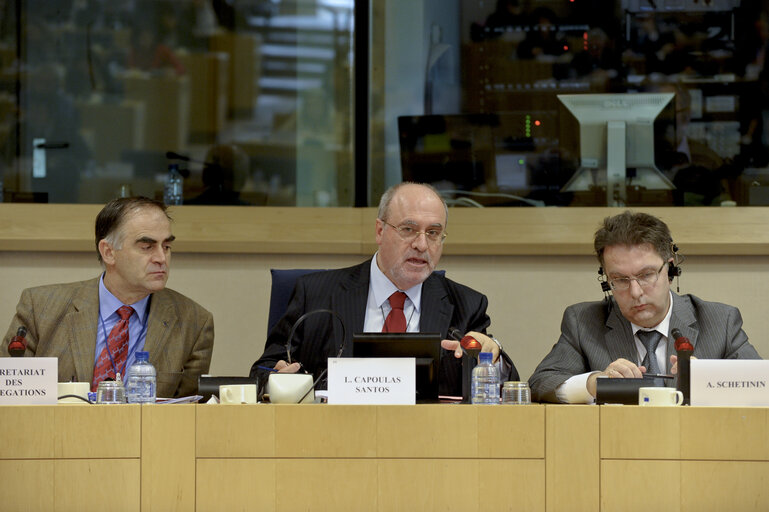 Φωτογραφία 2: EP delegation at the Euro-Latin American Parliamentary assembly