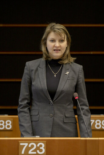 Fotografia 4: EP Plenary Session  Air agreements