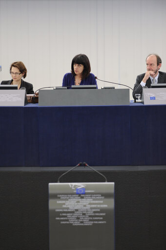 Photo 13 : Plenary session in Strasbourg