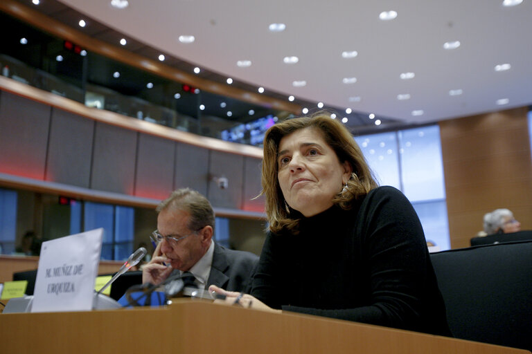 Presentation of the 10 nominees for the 2009 Sakharov Prize during a joint meeting of the AFET, DEVE and LIBE Committees