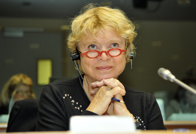 AFET and LIBE Committees members elect the short list for the 2009 Sakharov Prize in Brussels