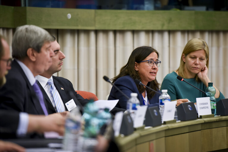 Fotografie 12: European union - Serbia stabilisation and association parliamentary committee (SAPC)