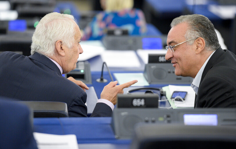 Foto 10: Plenary session Week 27 2017 in Strasbourg