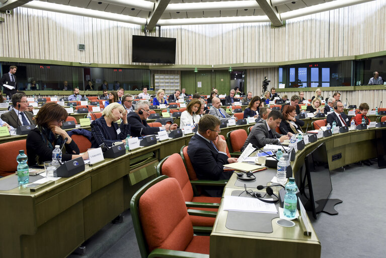 Fotografie 6: European union - Serbia stabilisation and association parliamentary committee (SAPC)