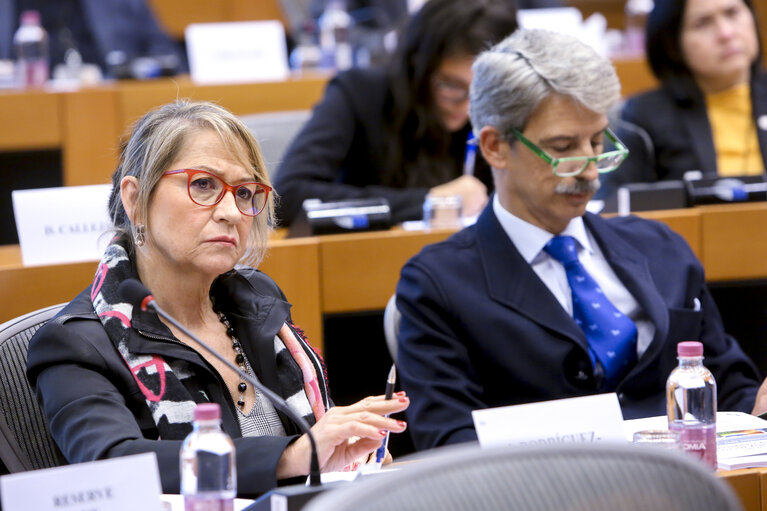 Photo 6: Delegation to the Euro-Latin American Parliamentary Assembly (DLAT) high-level seminar - ‘ The future is today : the European Union and the Americas facing a unique opportunity ’