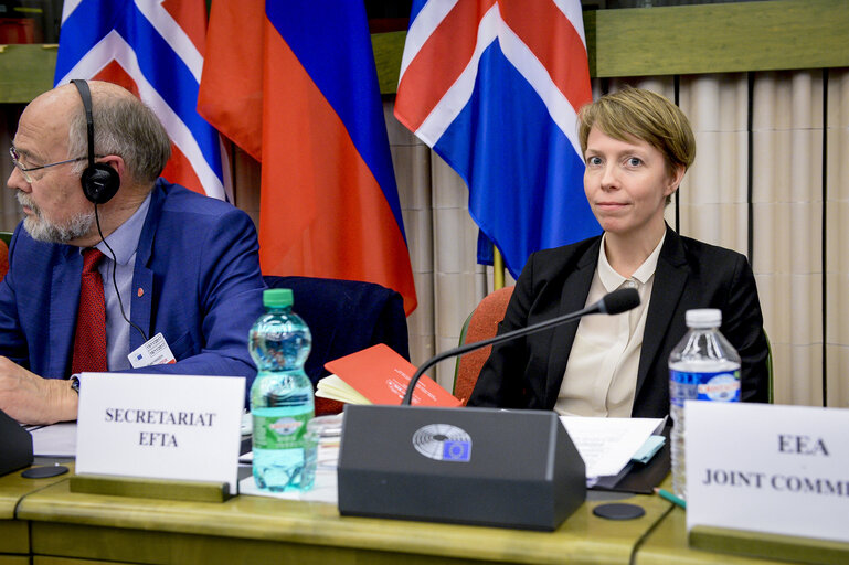 Fotografi 18: 49th EEA Joint Parliamentary Committee meeting