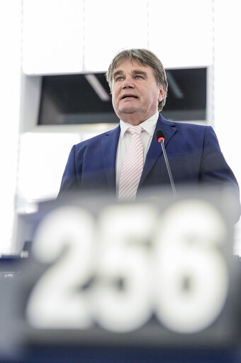 Fotografija 6: Plenary session in Strasbourg - Week 44  2015 - Cohesion Policy