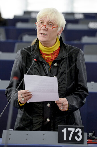 Photo 19 : Plenary session in Strasbourg - Week 44  2015 - Situation in Israel and Palestine