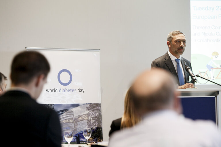 Foto 8: European Diabetes Awareness Week  Award Ceremony - 2015 IDF Europe Prizes in Diabetes