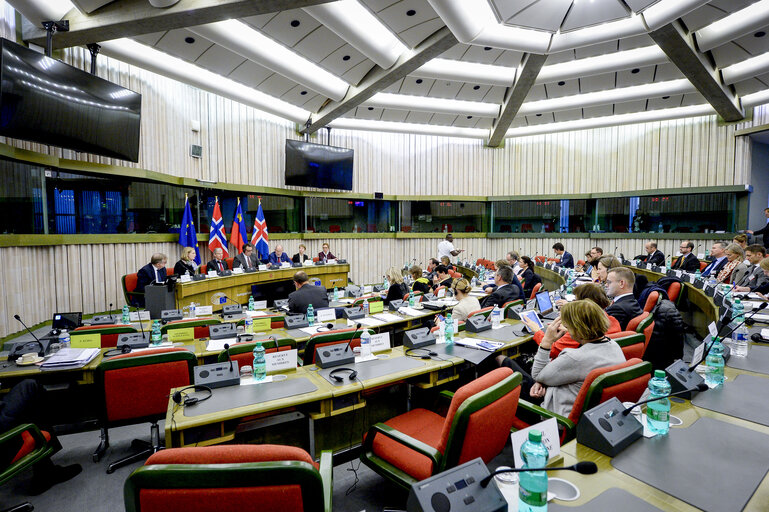 Fotografi 4: 49th EEA Joint Parliamentary Committee meeting