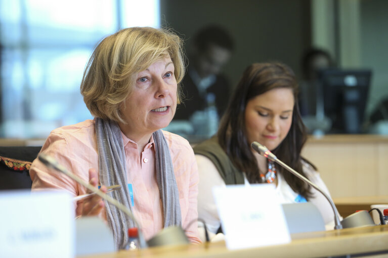 Fotografia 1: LIBE committee meeting, hearing on the CIA renditions