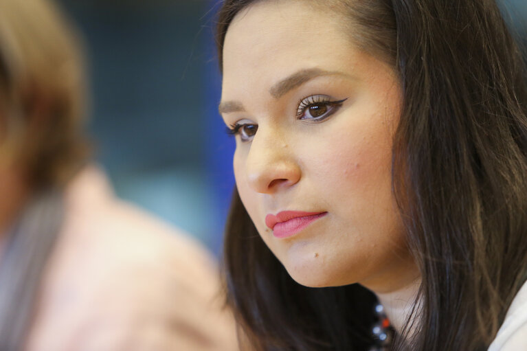 Photo 26: LIBE committee meeting, hearing on the CIA renditions