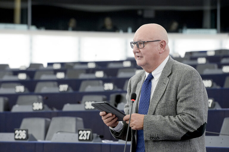 Photo 20 : Plenary session in Strasbourg - Week 44  2015 - Situation in Israel and Palestine