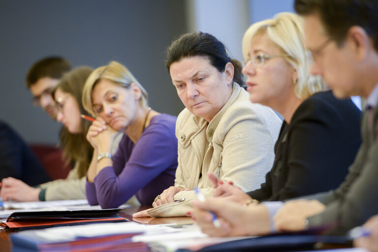 S&D REGI working group