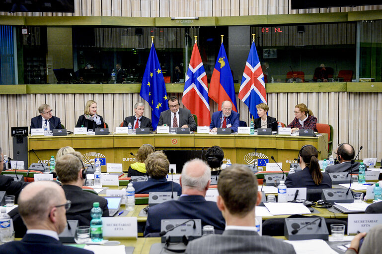 Fotografi 10: 49th EEA Joint Parliamentary Committee meeting