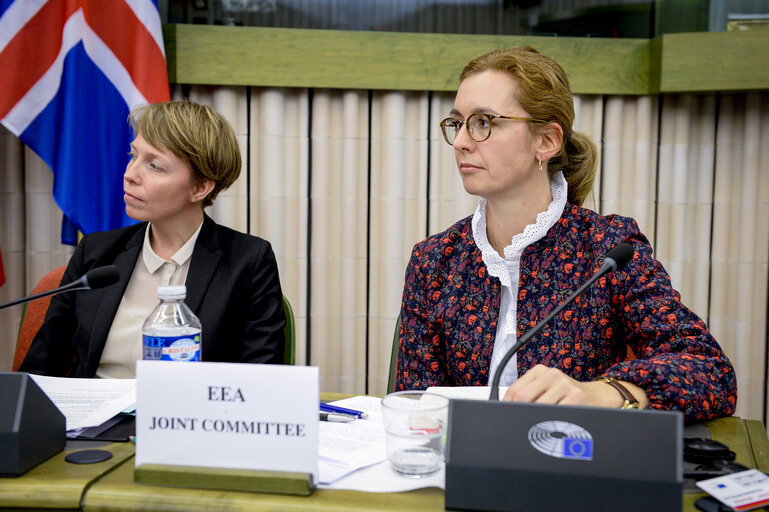 Fotografi 15: 49th EEA Joint Parliamentary Committee meeting