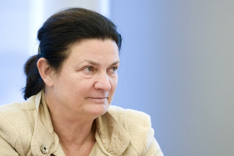 S&D REGI working group