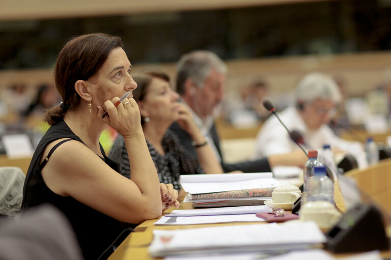 Foto 10: TRAN Committee meeting: exchange of views with the Spanish Minister for Transport