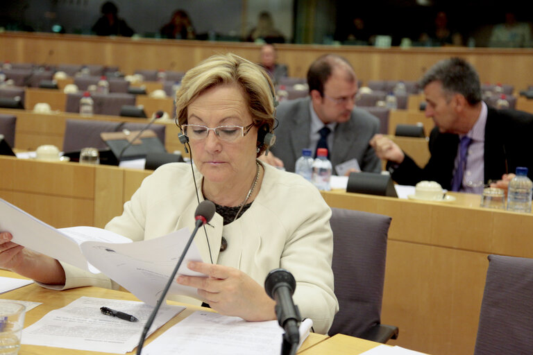 Foto 6: PETI meeting: Annual report on the deliberations of the Committee on Petitions during the year 2009.