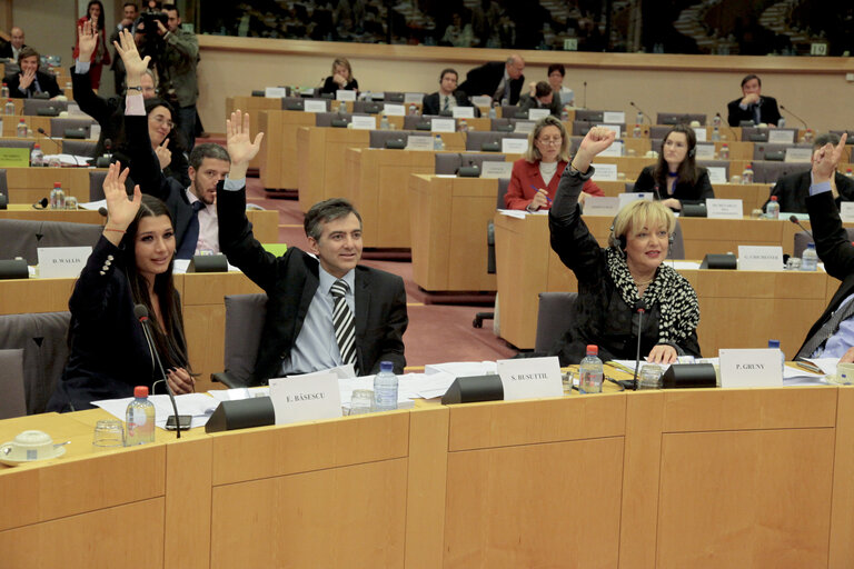 Φωτογραφία 18: PETI meeting: Annual report on the deliberations of the Committee on Petitions during the year 2009.