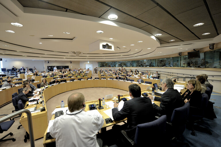 Zdjęcie 5: PECH Committee meeting with the Flemish Minister President.