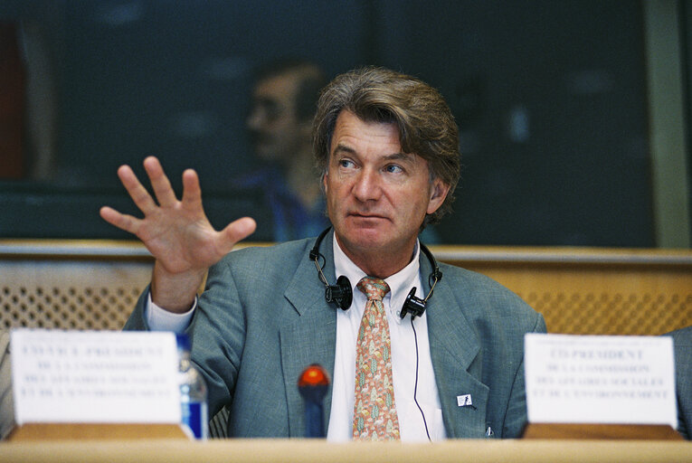 Photo 5 : Joint meeting of the Environment and the Social Affairs committees