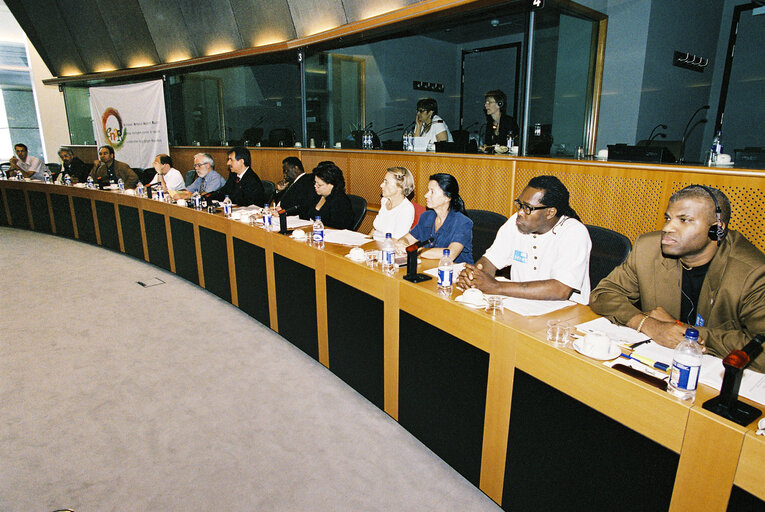 Nuotrauka 7: Conference on equal treatment without distinction of race or ethnic origin