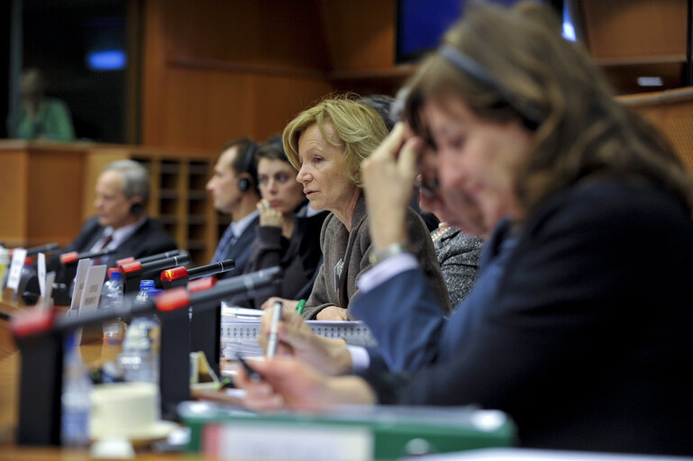 ECON Committee meeting with the   Spanish Minister of Economy and Financial Affairs.