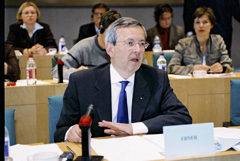 Photo 8: Meeting at the European Parliament in Brussels