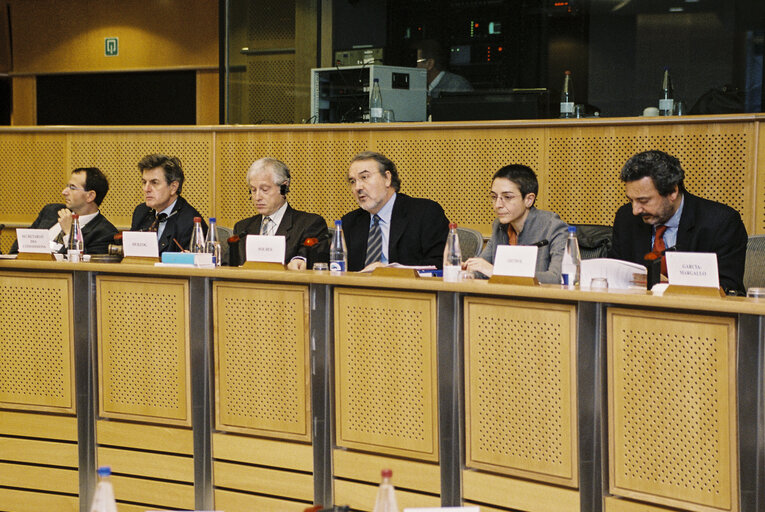 Foto 2: Discussion with Commissioner Pedro SOLBES MIRA on the autumn forecasts for the EU and the applicant countries