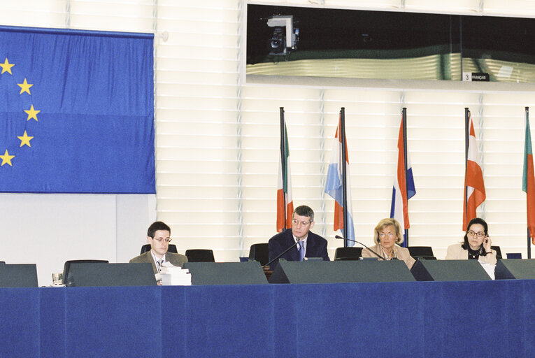 Foto 1: Plenary Session with President of the European Court of Auditors, on the occasion of the presentation of the annual report 2000