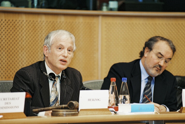 Foto 3: Discussion with Commissioner Pedro SOLBES MIRA on the autumn forecasts for the EU and the applicant countries