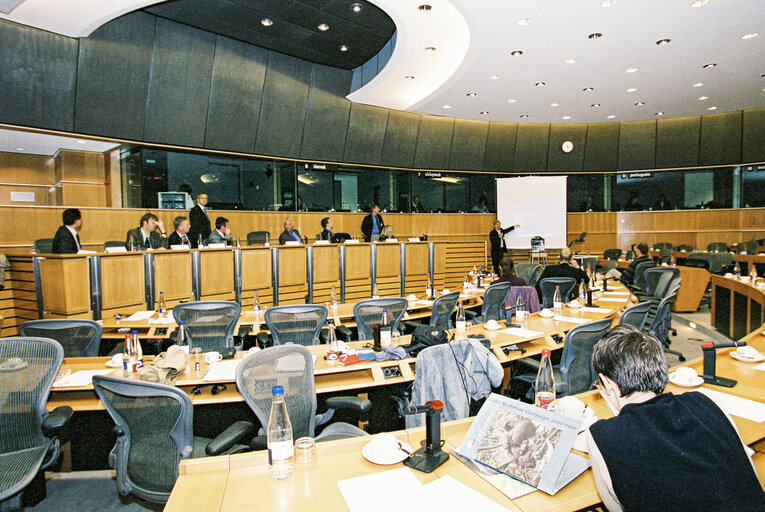 Foto 8: meeting on EAZA Bushmeat campain 2000-2001