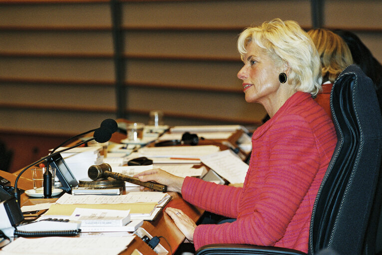 Φωτογραφία 2: Elly PLOOIJ-VAN GORSEL in Plenary Session