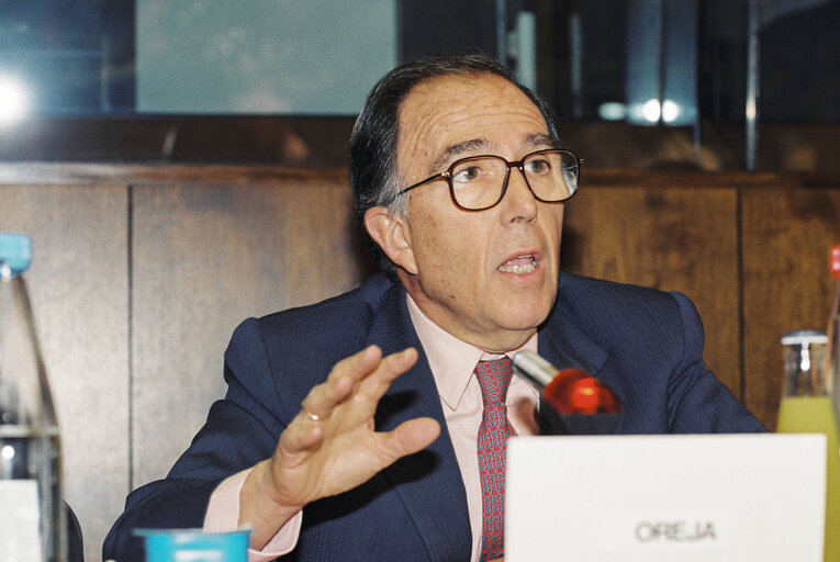 Photo 4 : Hearing of Marcelino OREJA (Spain), Commissioner designate for Institutional Affairs, Parliament, Culture and Audiovisual