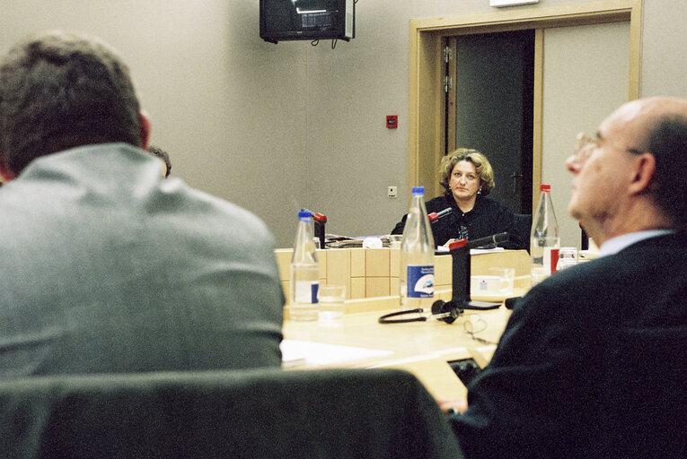 Meeting at the European Parliament in Brussels