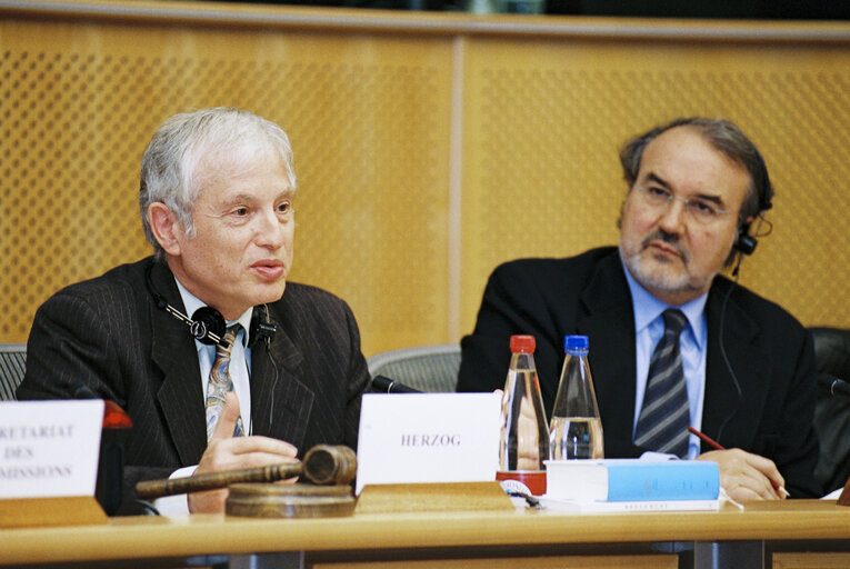 Foto 4: Discussion with Commissioner Pedro SOLBES MIRA on the autumn forecasts for the EU and the applicant countries