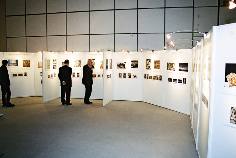 Exhibition on Living with traditional art on islands in EU the case of the island of Crete