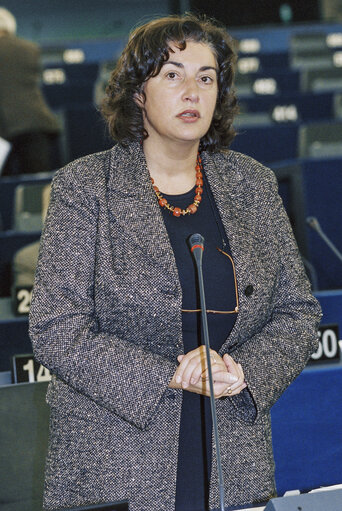 Foto 6: Speech of MEP Godelieve QUISTHOUDT-ROWOHL in Plenary session in Strasbourg