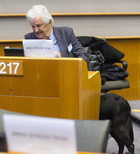 Photo 7 : 4th European Parliament of Persons with Disabilities -European Disability Forum (EDF) - Official Opening