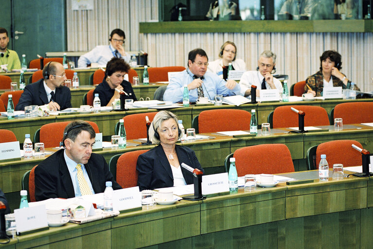 Meeting at the European Parliament in Strasbourg