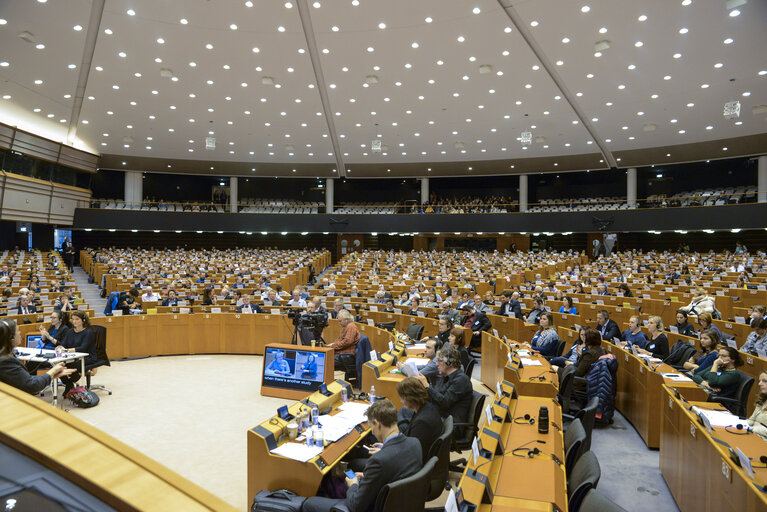 Fotografija 1: 4th European Parliament of Persons with Disabilities -European Disability Forum (EDF)- We want to vote! Towards accessible European elections 2019 and a full participation in political and public life for persons with disabilities.