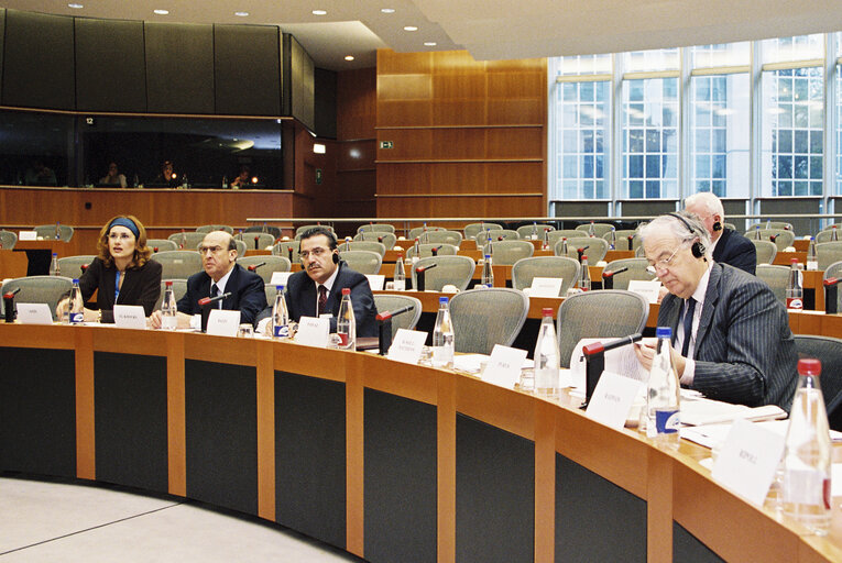 Foto 5: EU-Lebanon Meeting