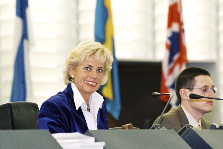 Fotografie 3: Elly PLOOIJ-VAN GORSEL presiding over the Plenary Session in Strasbourg.