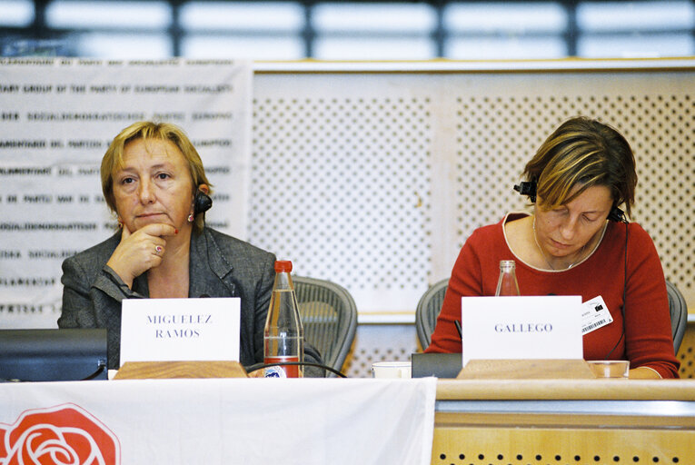 Parliamentary Group of the Party of European Socialists