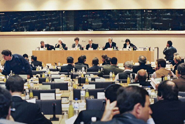 Photo 5: Hearing of Hans VAN DEN BROEK (Netherlands), Commissioner designate for Common Foreign and Security Policy