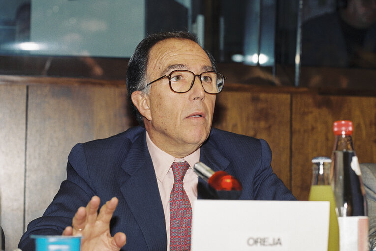 Photo 5 : Hearing of Marcelino OREJA (Spain), Commissioner designate for Institutional Affairs, Parliament, Culture and Audiovisual